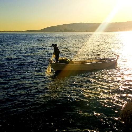Photo #4766595