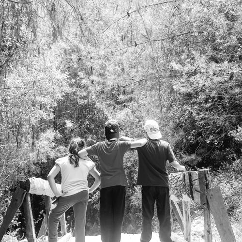 Photo #4766601