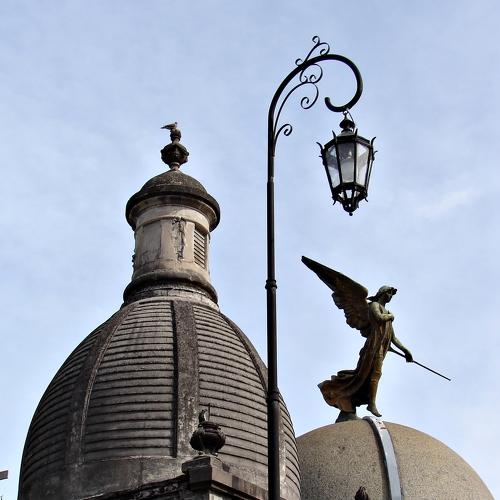 Photo #4766689