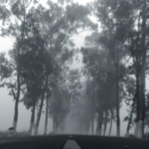 Photo #4767001