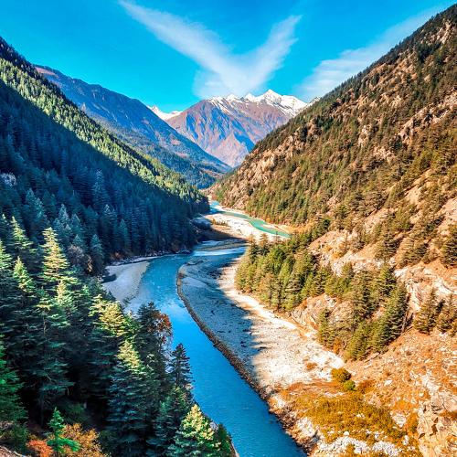 Photo #4767192