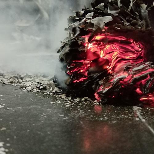Photo #4767552