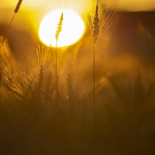 Photo #4767719