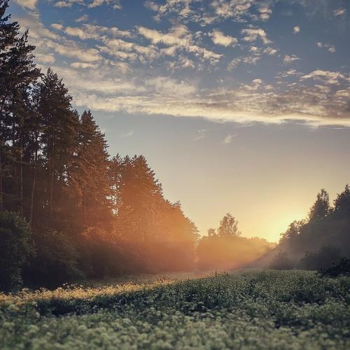 Valley and Sunset II