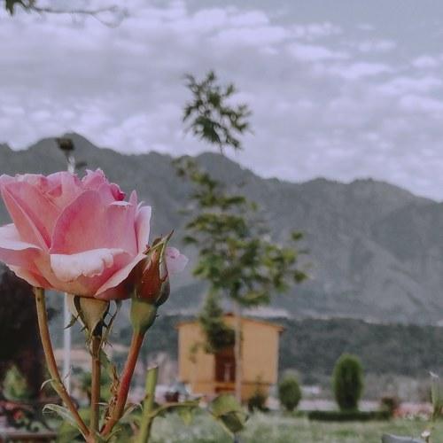 Photo #4768329