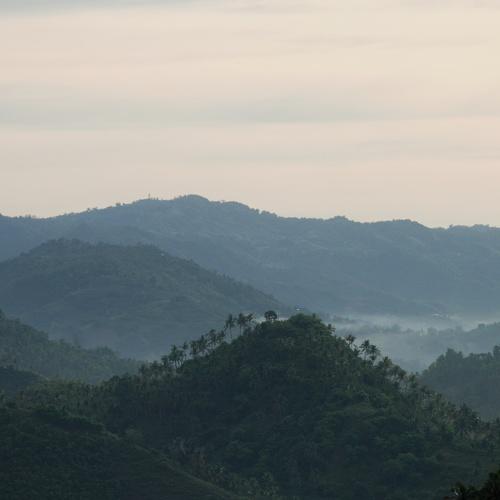 Coconut mountain