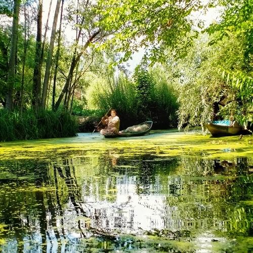 Photo #4768340