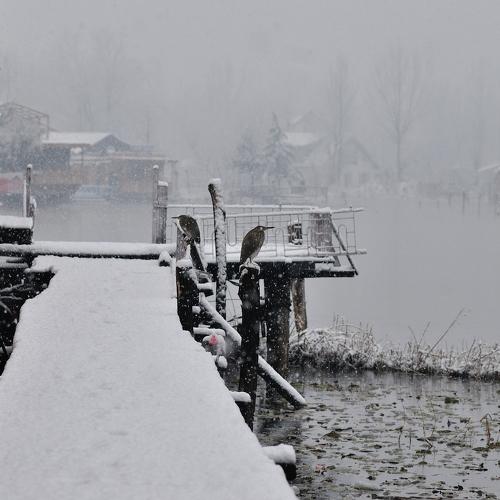 Photo #4768500