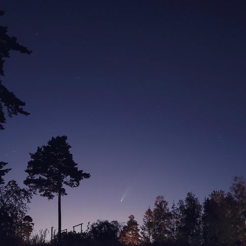 NEOWISE