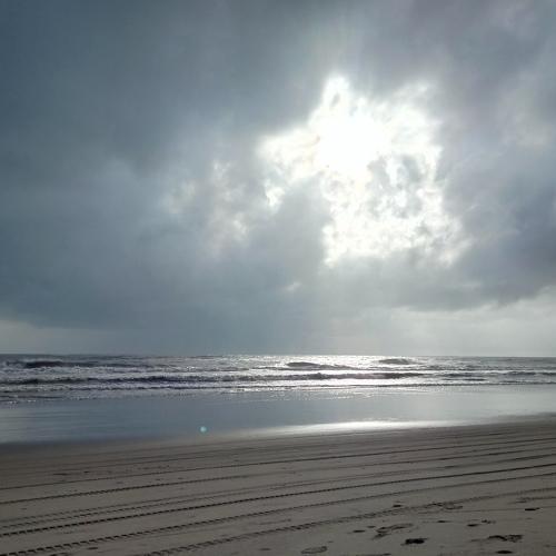 Photo #4768775