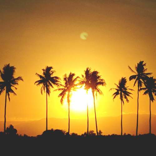 Sunrise and silhouettes