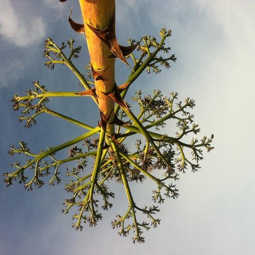 Photo #4769015