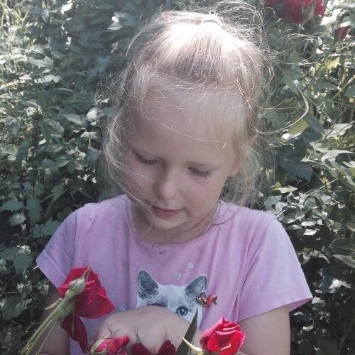 Photo #4769387