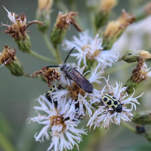 Photo #4769553
