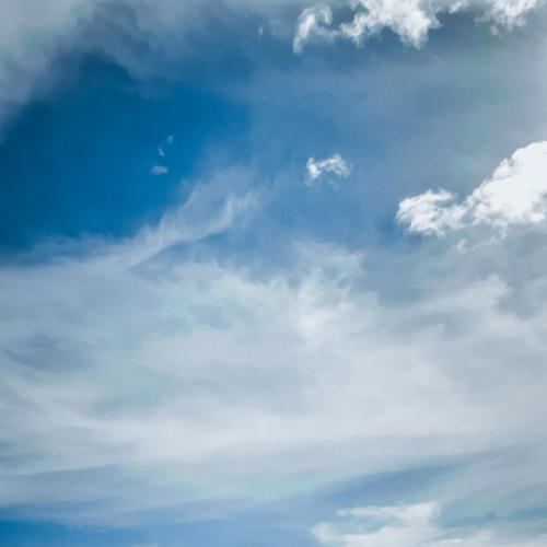 Photo #4770238