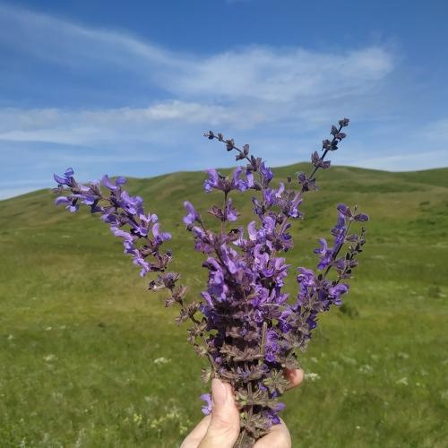 Photo #4770317