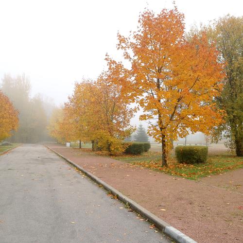 Early morning