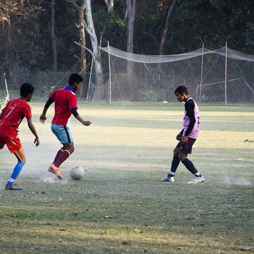 Photo #4771251