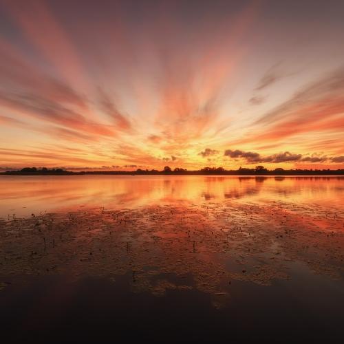 Photo #4771399