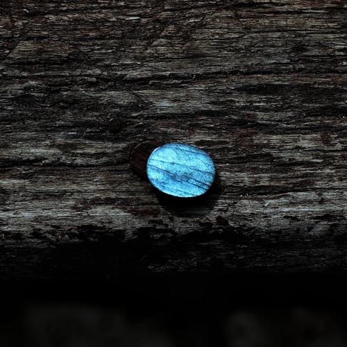Photo #4772226