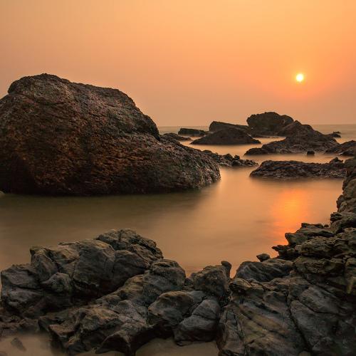 Photo #4772254
