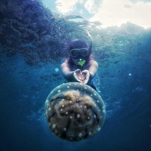 Photo #4772325