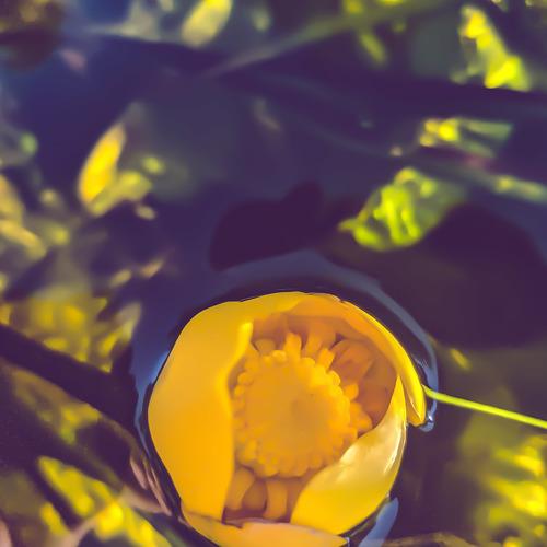 Photo #4772353