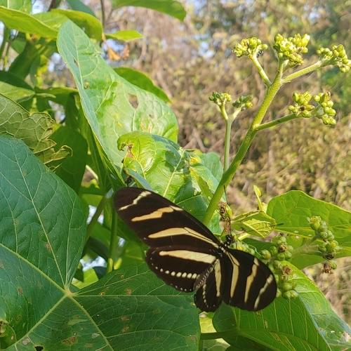 Photo #4772474