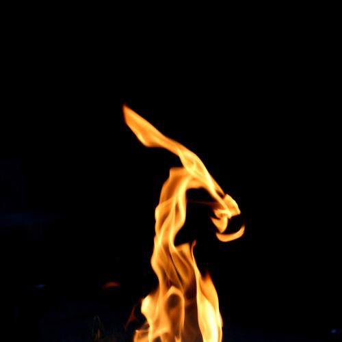 ID: Dragon Caught On Fire