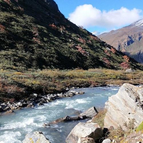 Photo #4773108