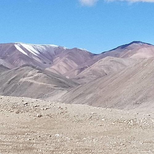Photo #4773114