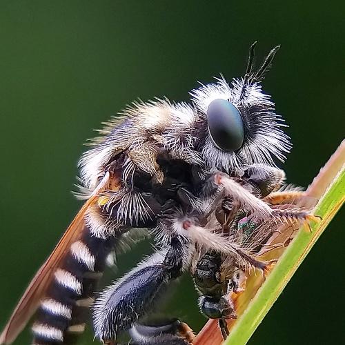 Photo #4773407