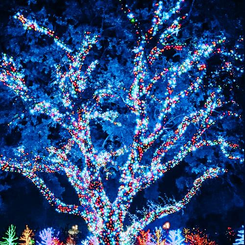 Photo #4773408