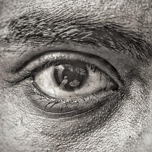 Photo #4773419