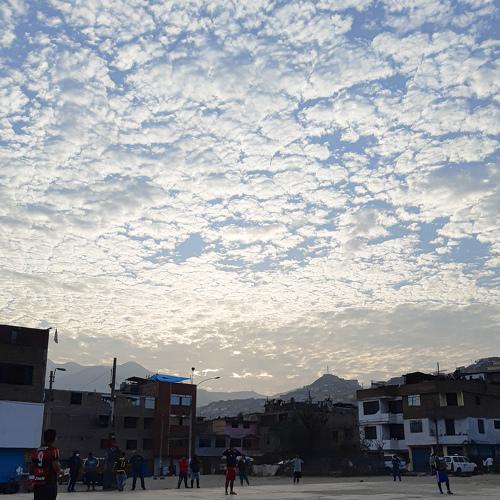 Photo #4773628