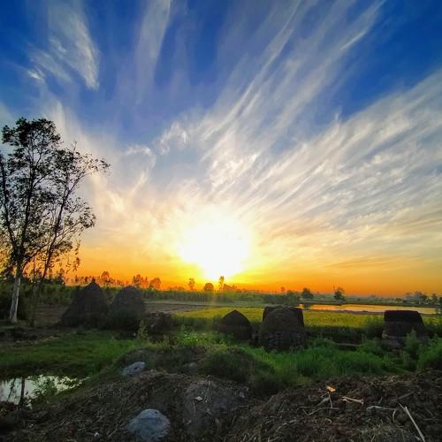 Photo #4774292