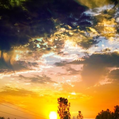 Photo #4774293