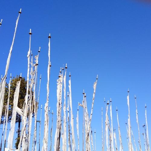 Photo #4774574
