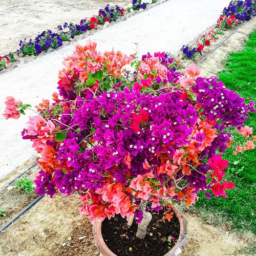 Photo #4774634