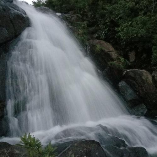 Photo #4774663