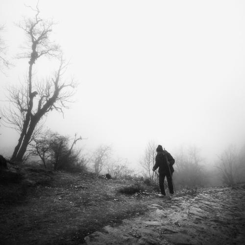 In Another World