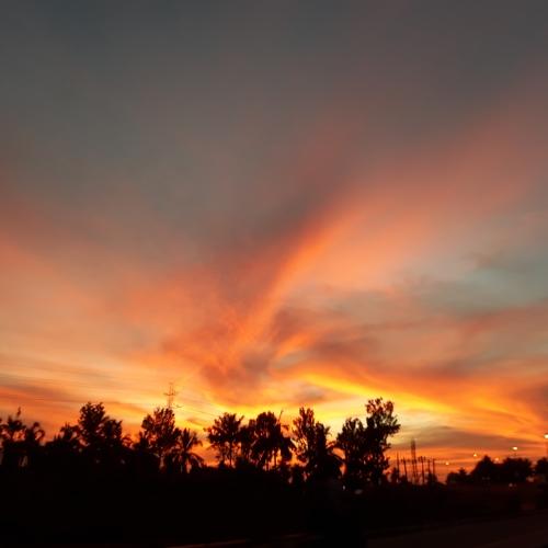 Photo #4774940