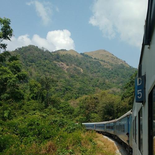 Photo #4774963