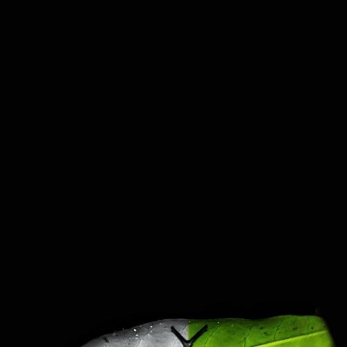 Photo #4775092