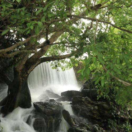 Photo #4775730