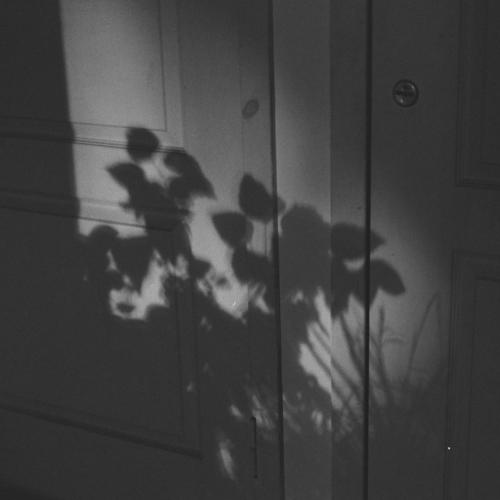 Photo #4775953