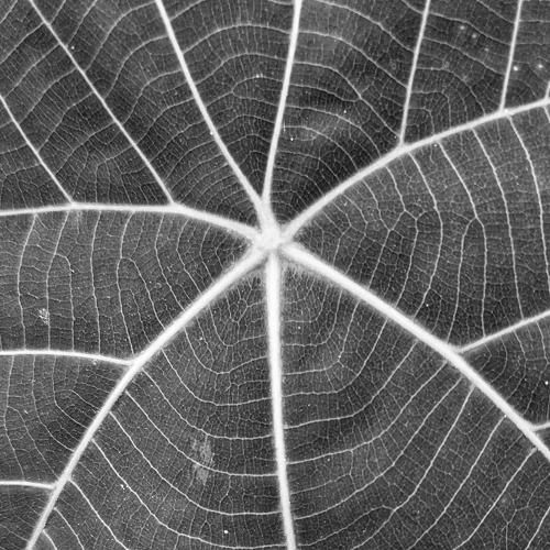 Repeating pattern