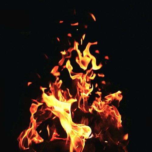 Photo #4776038