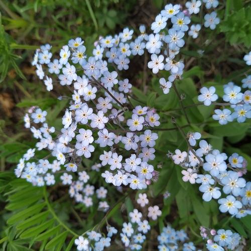 Photo #4776060