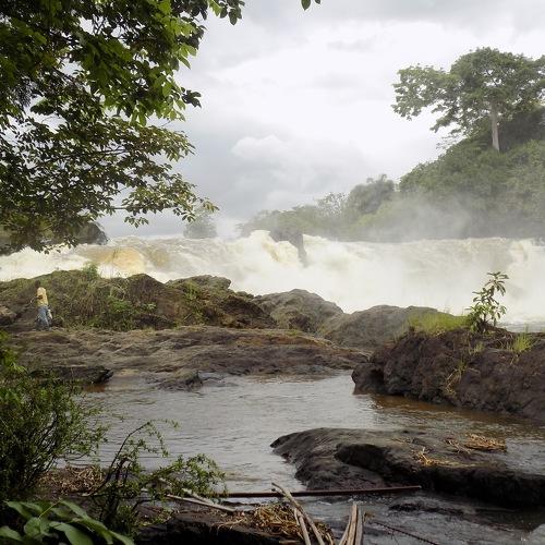 Photo #4776258